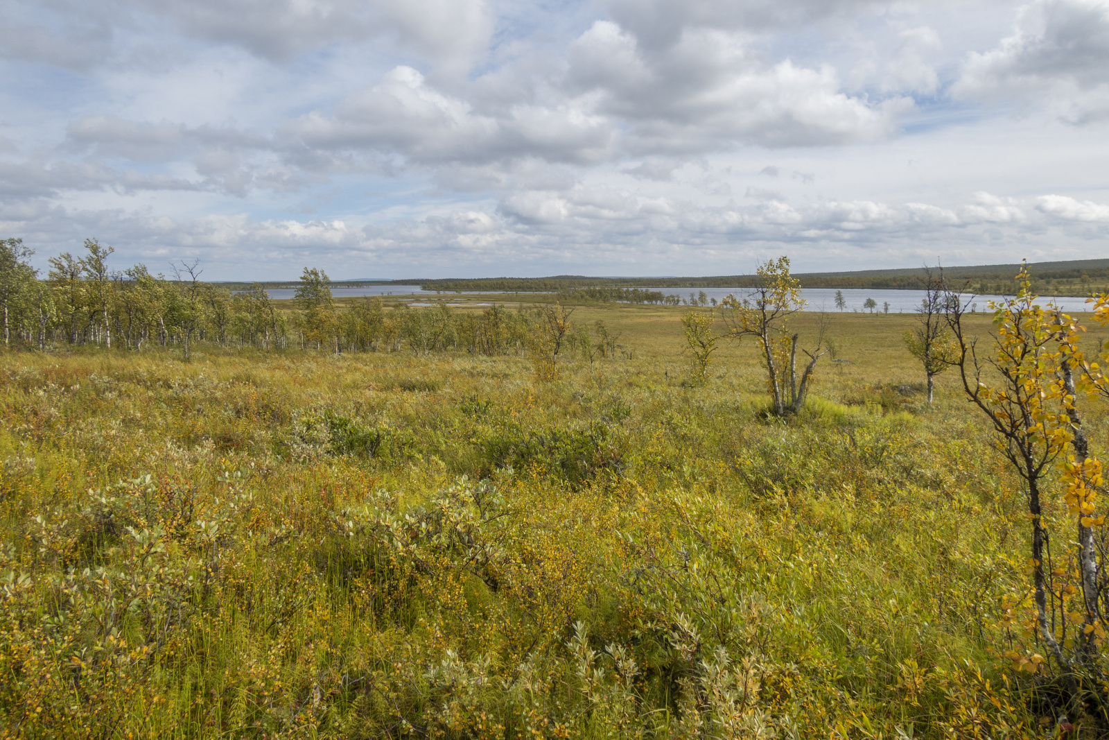 Klicke auf die Grafik für eine vergrößerte Ansicht

Name: Sjaunja_2024_322.jpg
Ansichten: 68
Größe: 1,11 MB
ID: 3349867