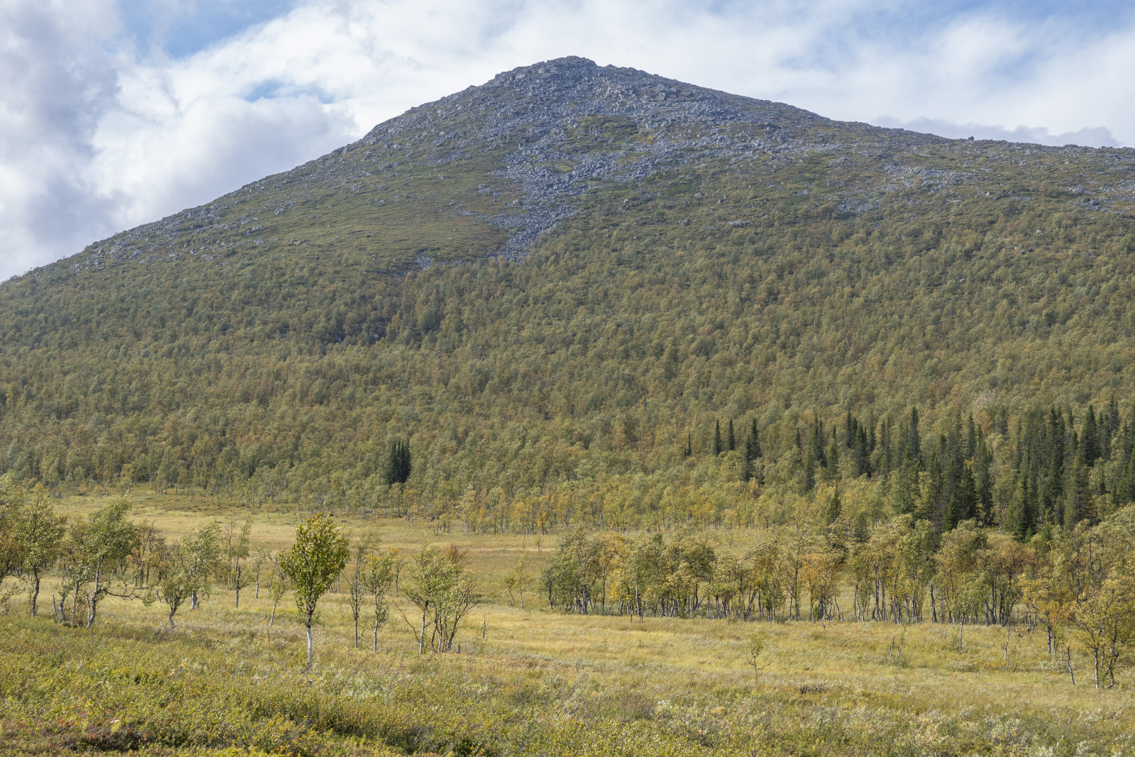 Klicke auf die Grafik für eine vergrößerte Ansicht

Name: Sjaunja_2024_338.jpg
Ansichten: 68
Größe: 1,12 MB
ID: 3349873