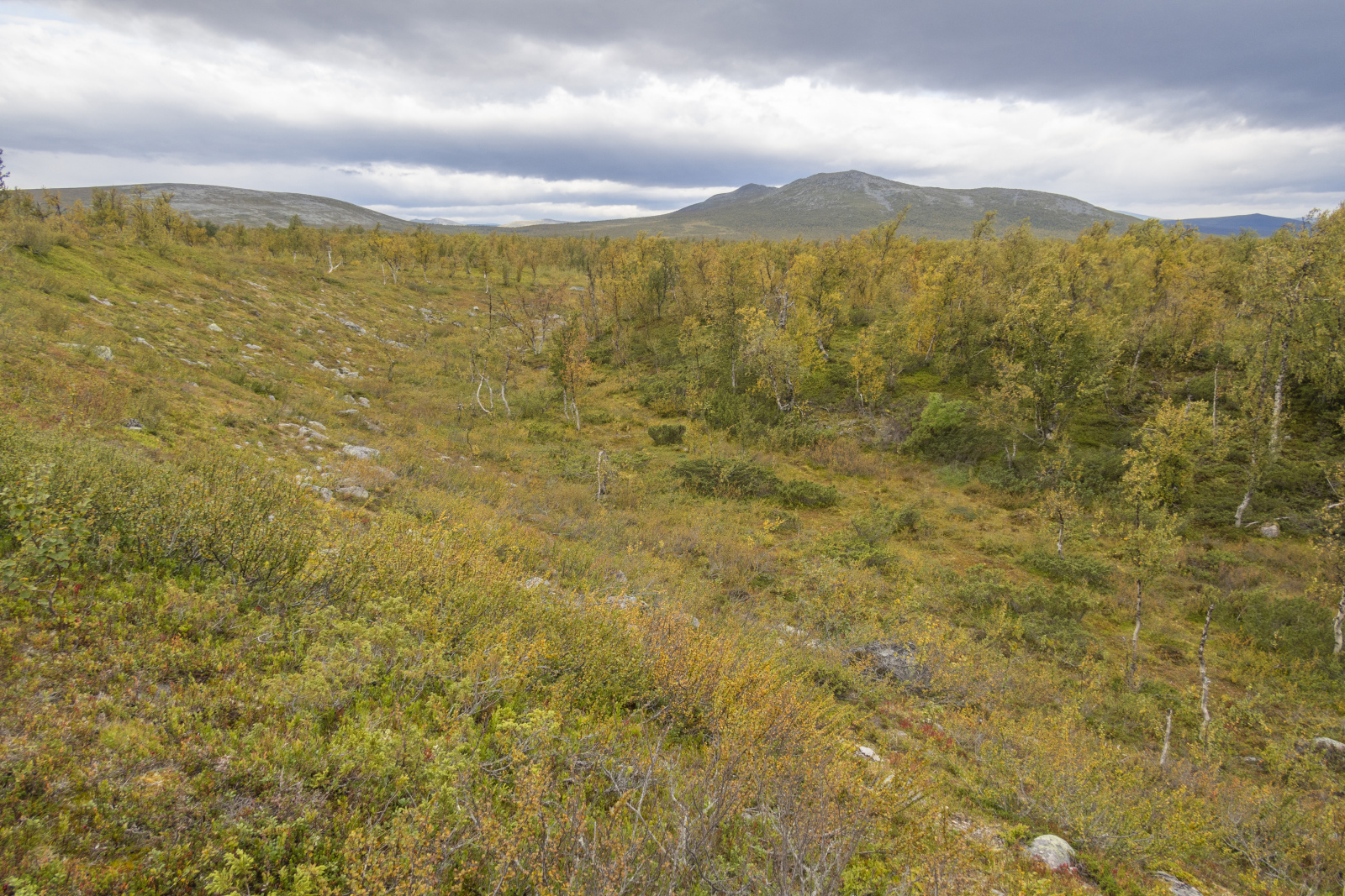 Klicke auf die Grafik für eine vergrößerte Ansicht

Name: Sjaunja_2024_351.jpg
Ansichten: 69
Größe: 1,13 MB
ID: 3349876