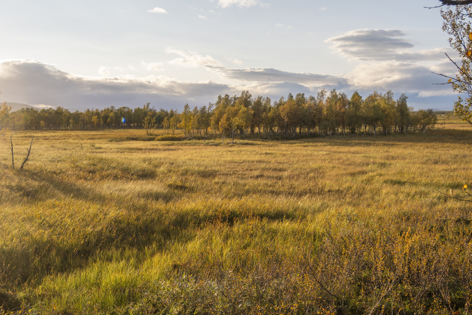 Klicke auf die Grafik für eine vergrößerte Ansicht

Name: Sjaunja_2024_398.jpg
Ansichten: 65
Größe: 1,18 MB
ID: 3349883