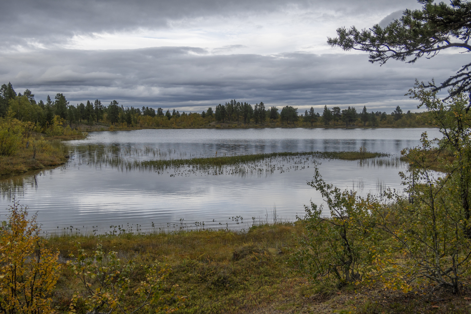 Klicke auf die Grafik für eine vergrößerte Ansicht

Name: Sjaunja_2024_493.jpg
Ansichten: 67
Größe: 931,4 KB
ID: 3349885