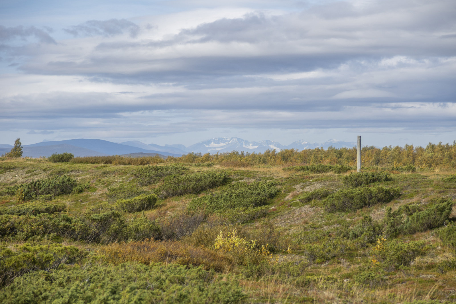 Klicke auf die Grafik für eine vergrößerte Ansicht

Name: Sjaunja_2024_470.jpg
Ansichten: 67
Größe: 787,8 KB
ID: 3349889