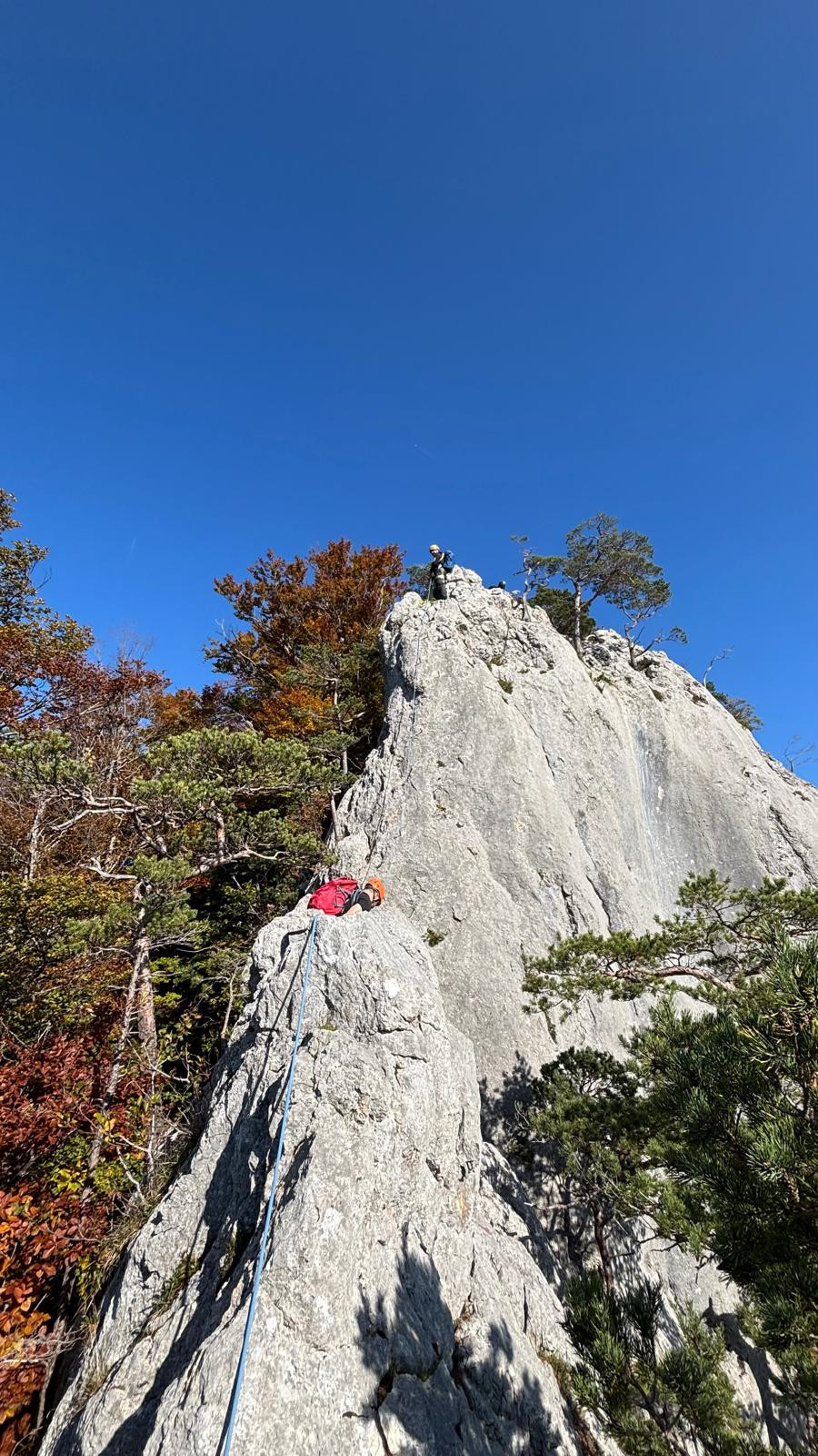 Klicke auf die Grafik für eine vergrößerte Ansicht

Name: IMG-20251016-WA0025.jpg
Ansichten: 94
Größe: 489,2 KB
ID: 3350096