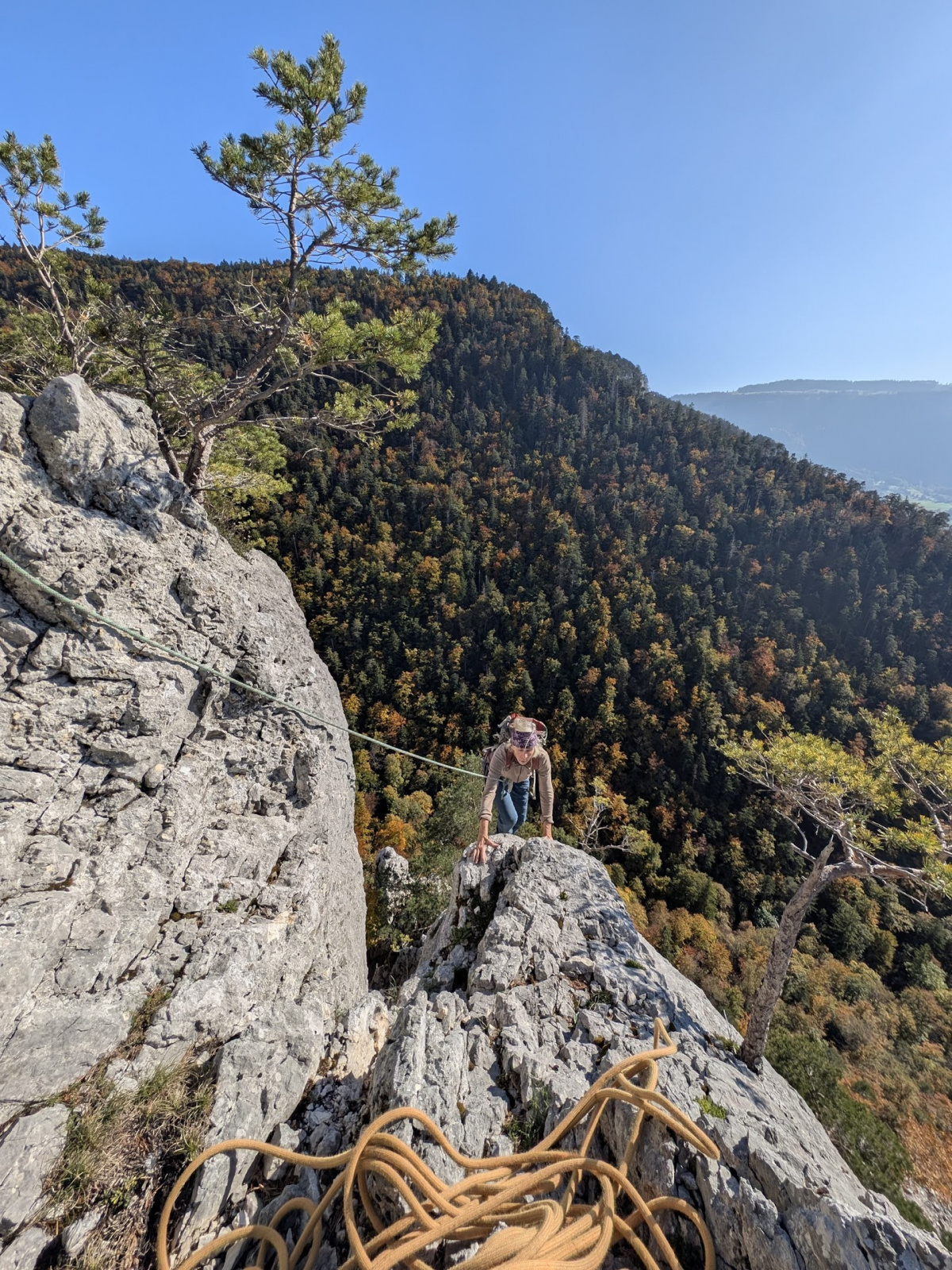 Klicke auf die Grafik für eine vergrößerte Ansicht

Name: PXL_20251012_132100275.jpg
Ansichten: 92
Größe: 1,09 MB
ID: 3350099