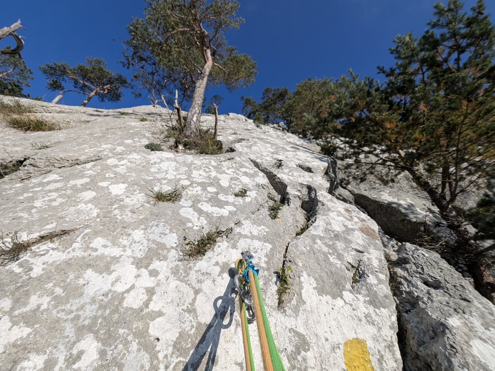 Klicke auf die Grafik für eine vergrößerte Ansicht

Name: PXL_20251012_084800299.jpg
Ansichten: 91
Größe: 1.001,3 KB
ID: 3350100