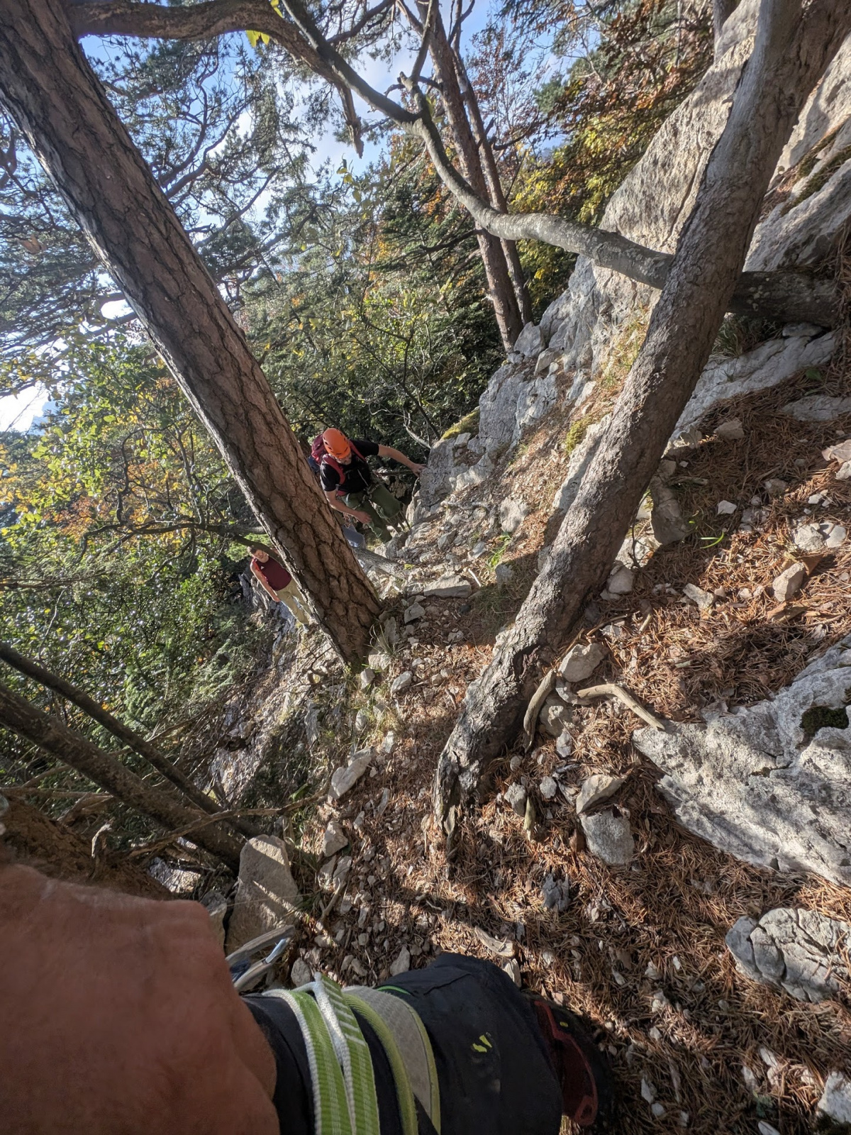 Klicke auf die Grafik für eine vergrößerte Ansicht

Name: PXL_20251012_144604935.jpg
Ansichten: 90
Größe: 1,23 MB
ID: 3350101