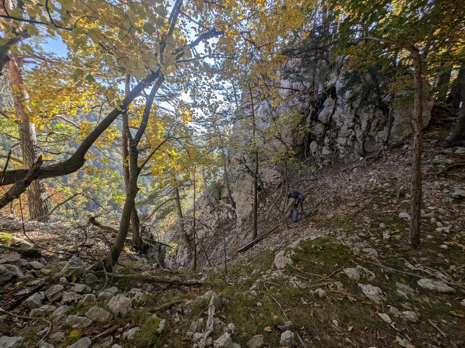 Klicke auf die Grafik für eine vergrößerte Ansicht

Name: PXL_20251012_142026238.jpg
Ansichten: 90
Größe: 1,36 MB
ID: 3350103