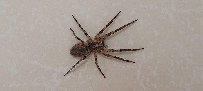 Klicke auf die Grafik für eine vergrößerte Ansicht

Name: 20251101_200609.jpg
Ansichten: 111
Größe: 270,1 KB
ID: 3350145