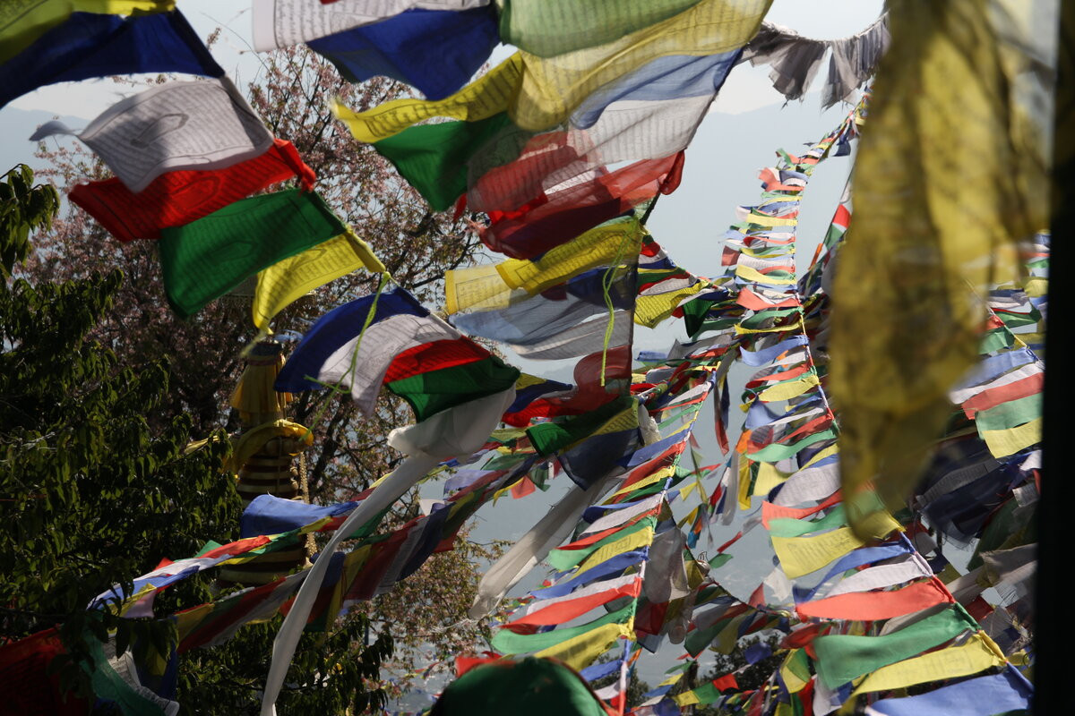 Klicke auf die Grafik für eine vergrößerte Ansicht  Name: IMG_9831.jpg Ansichten: 0 Größe: 334,5 KB ID: 3350246