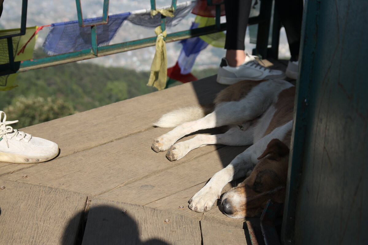 Klicke auf die Grafik für eine vergrößerte Ansicht  Name: IMG_9837.jpg Ansichten: 0 Größe: 184,0 KB ID: 3350247