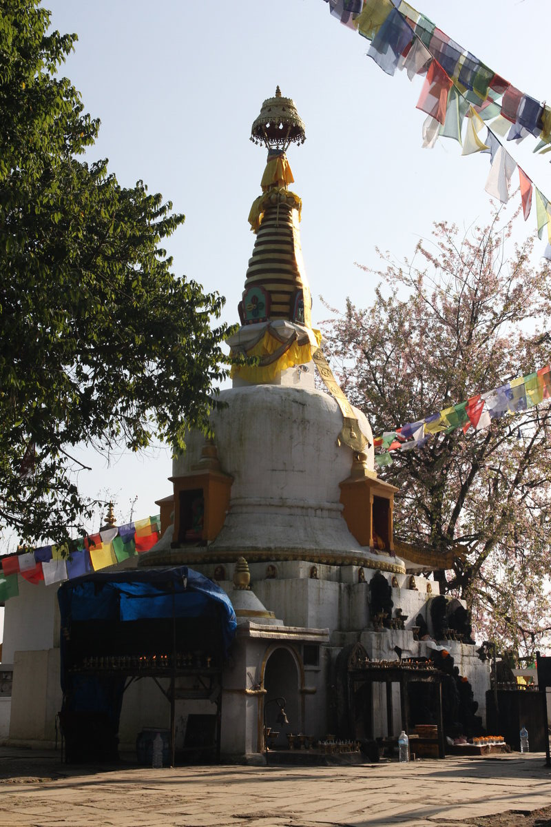 Klicke auf die Grafik für eine vergrößerte Ansicht  Name: IMG_9847.jpg Ansichten: 0 Größe: 342,7 KB ID: 3350249