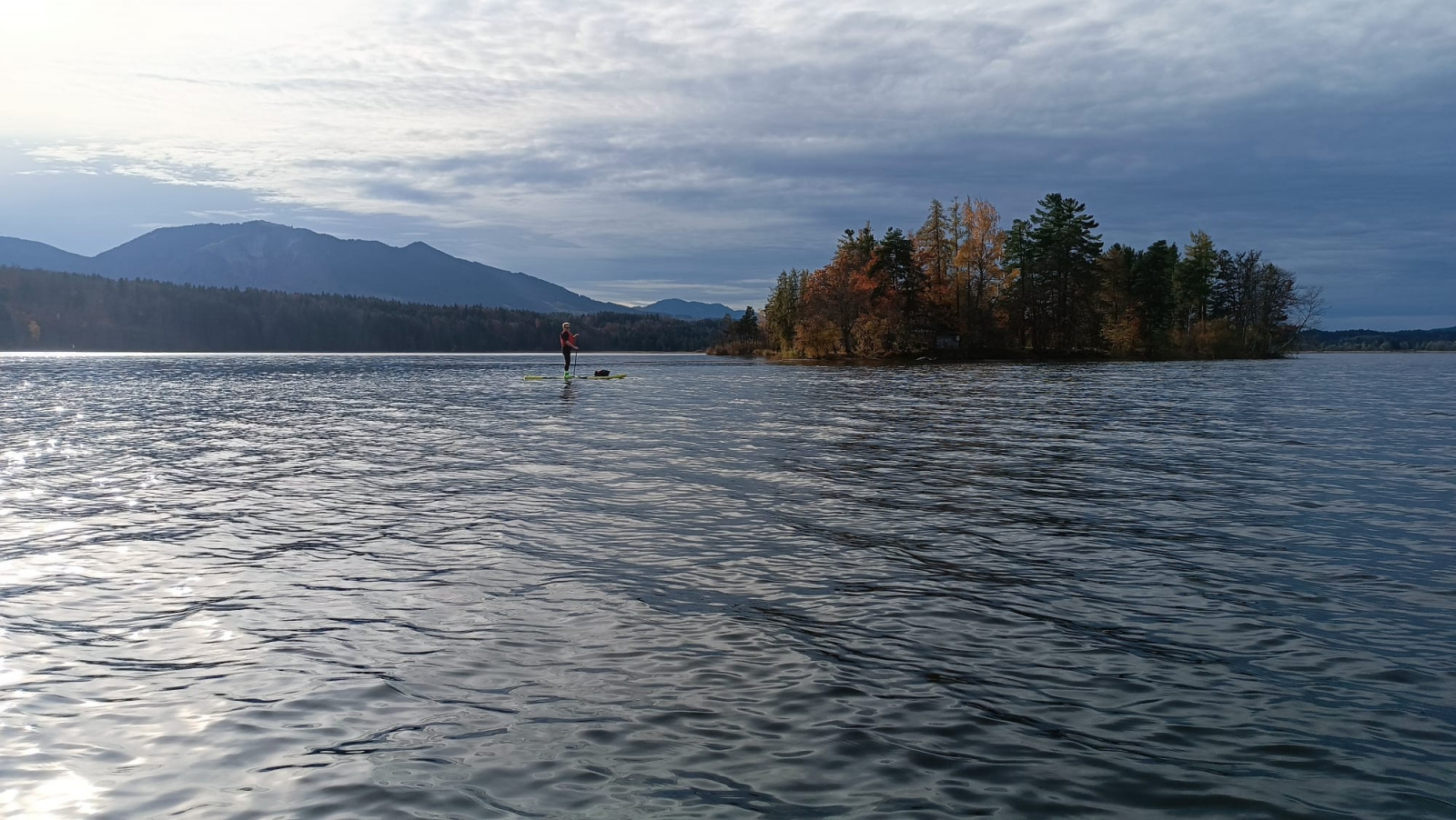 Klicke auf die Grafik für eine vergrößerte Ansicht

Name: IMG-20251101-WA0009.jpg
Ansichten: 0
Größe: 553,8 KB
ID: 3350377