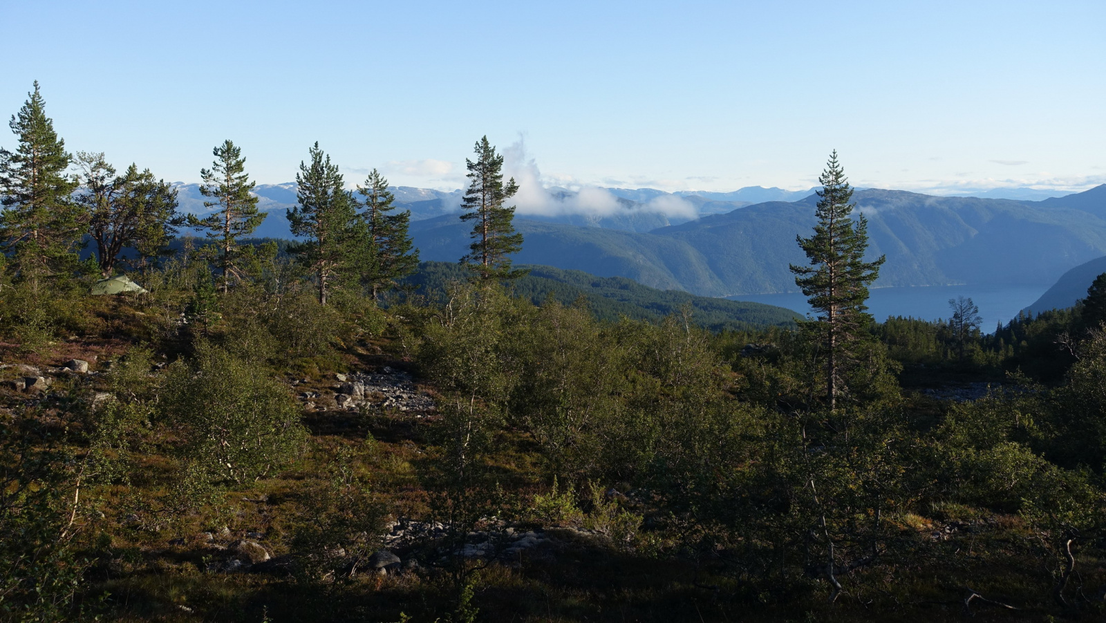 Klicke auf die Grafik für eine vergrößerte Ansicht

Name: 2025 Norge 0477.jpg
Ansichten: 491
Größe: 692,5 KB
ID: 3350651