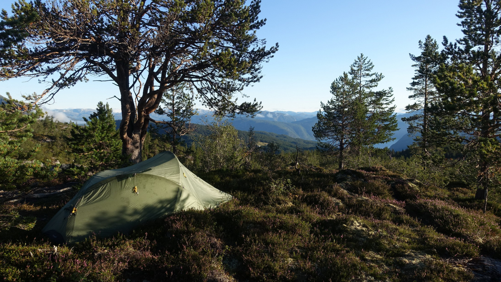 Klicke auf die Grafik für eine vergrößerte Ansicht

Name: 2025 Norge 0476.jpg
Ansichten: 498
Größe: 969,0 KB
ID: 3350652