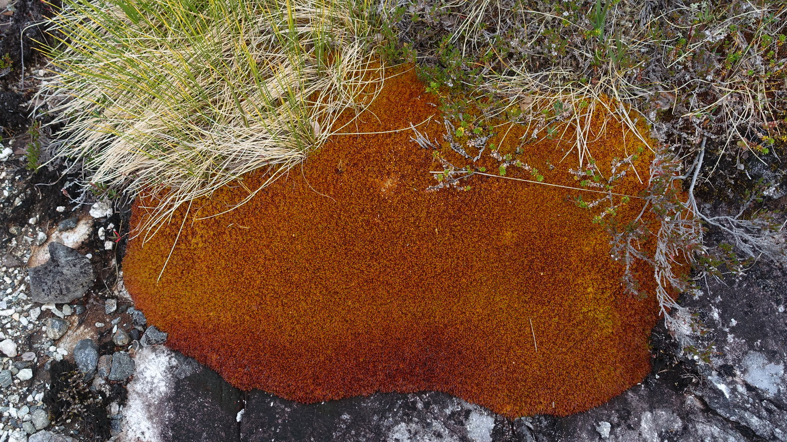 Klicke auf die Grafik für eine vergrößerte Ansicht

Name: 2025 Norge 0487.jpg
Ansichten: 498
Größe: 942,5 KB
ID: 3350661