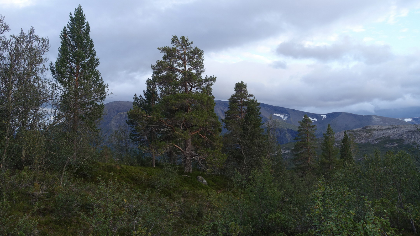 Klicke auf die Grafik für eine vergrößerte Ansicht

Name: 2025 Norge 0496.jpg
Ansichten: 479
Größe: 678,0 KB
ID: 3350674