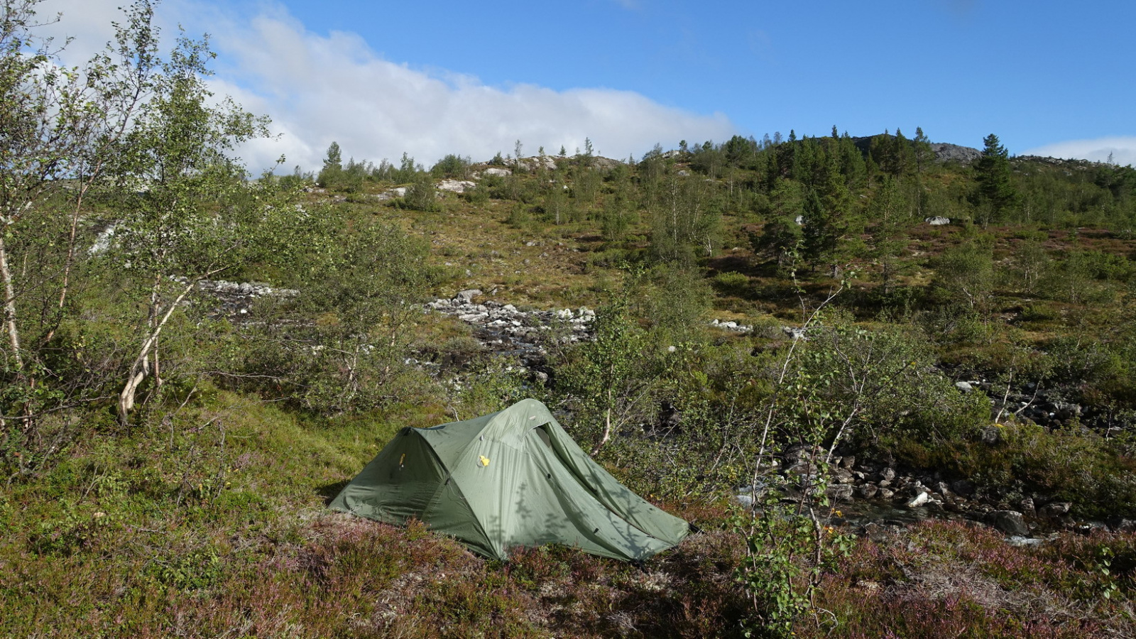 Klicke auf die Grafik für eine vergrößerte Ansicht

Name: 2025 Norge 0498.jpg
Ansichten: 496
Größe: 913,3 KB
ID: 3350676