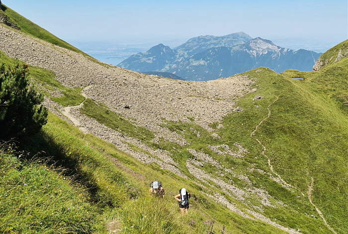 Klicke auf die Grafik für eine vergrößerte Ansicht  Name: ODS 2025 H23.jpg Ansichten: 0 Größe: 515,3 KB ID: 3350703