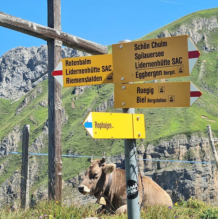 Klicke auf die Grafik für eine vergrößerte Ansicht  Name: ODS 2025 H25.jpg Ansichten: 0 Größe: 726,1 KB ID: 3350700