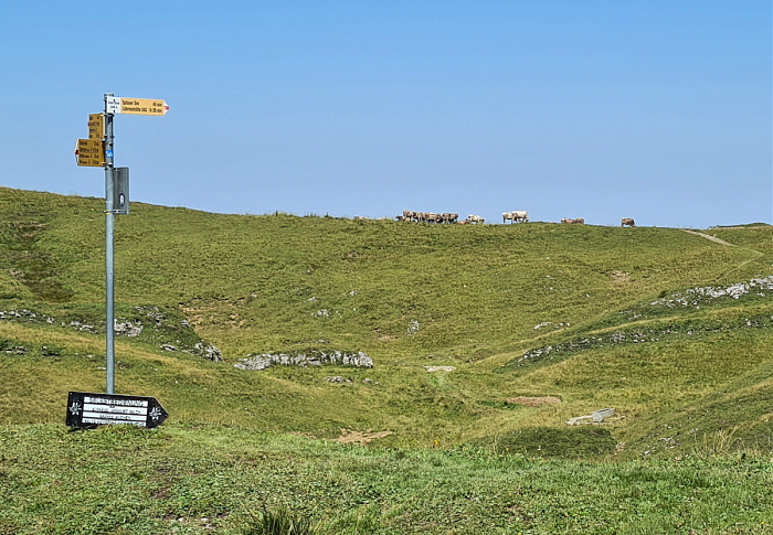 Klicke auf die Grafik für eine vergrößerte Ansicht  Name: ODS 2025 H27.jpg Ansichten: 0 Größe: 386,5 KB ID: 3350704