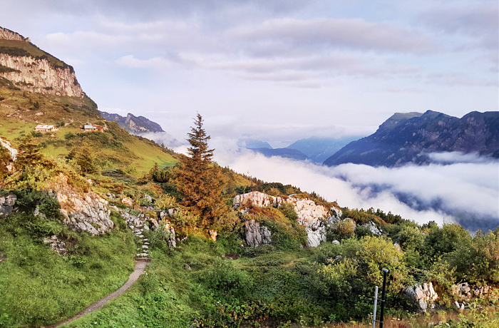 Klicke auf die Grafik für eine vergrößerte Ansicht  Name: ODS 2025 H34.jpg Ansichten: 0 Größe: 395,5 KB ID: 3350830