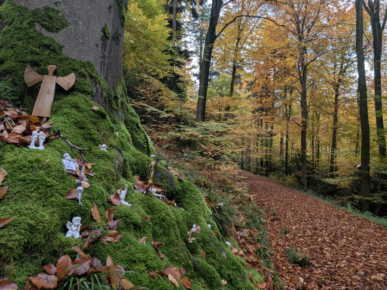 Klicke auf die Grafik für eine vergrößerte Ansicht

Name: PXL_20251103_065856116.jpg
Ansichten: 38
Größe: 1,40 MB
ID: 3350908