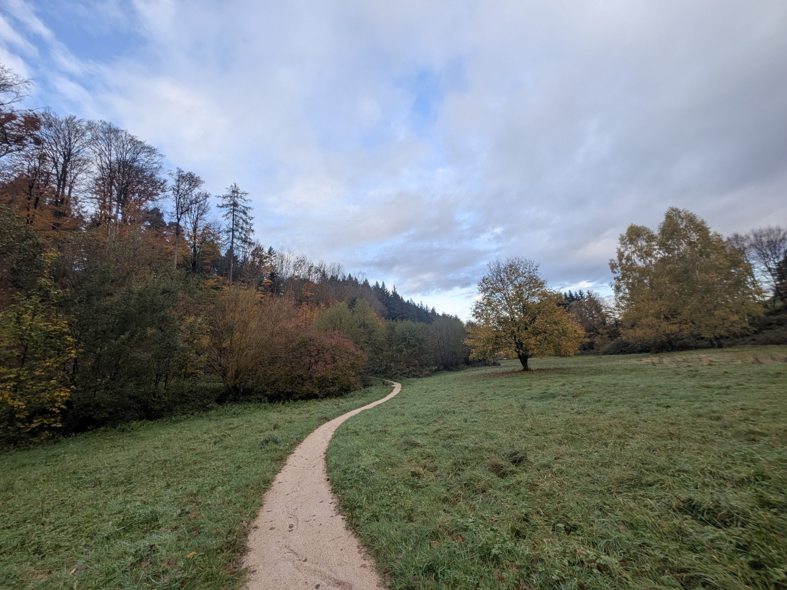 Klicke auf die Grafik für eine vergrößerte Ansicht

Name: PXL_20251103_073809702.jpg
Ansichten: 37
Größe: 841,8 KB
ID: 3350909