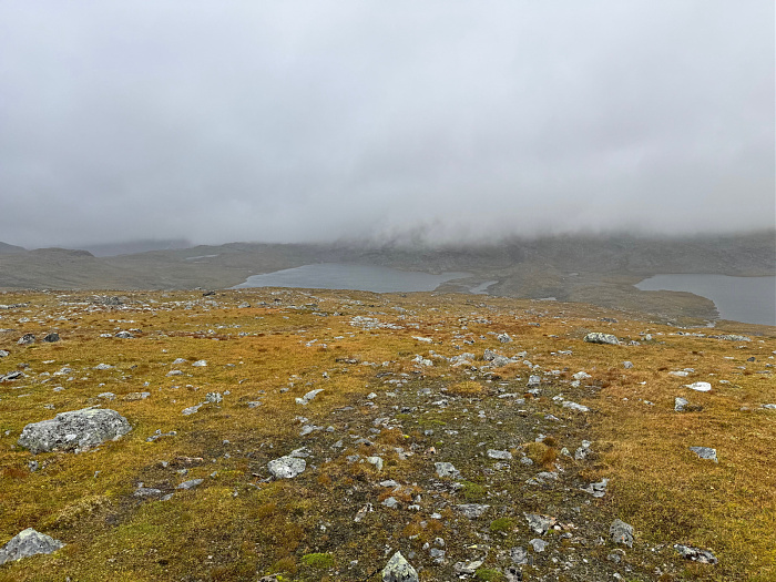 Klicke auf die Grafik für eine vergrößerte Ansicht

Name: IMG_5520.jpg
Ansichten: 0
Größe: 930,6 KB
ID: 3350997