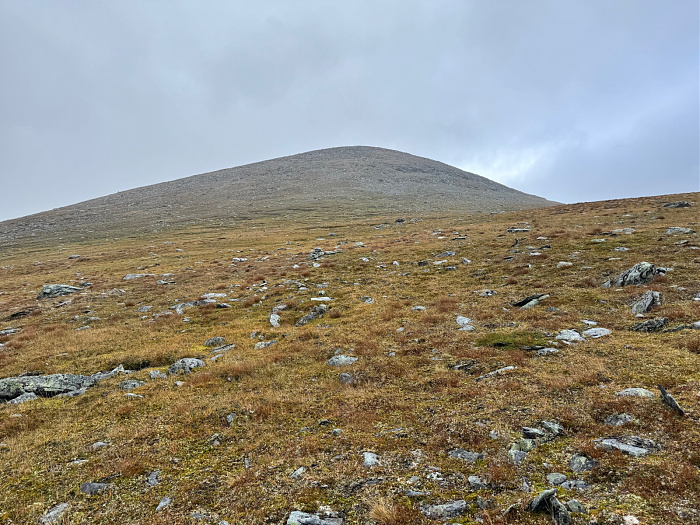 Klicke auf die Grafik für eine vergrößerte Ansicht

Name: IMG_5521.jpg
Ansichten: 0
Größe: 1,08 MB
ID: 3350998