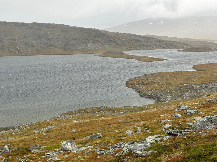 Klicke auf die Grafik für eine vergrößerte Ansicht

Name: IMG_5523.jpg
Ansichten: 0
Größe: 931,1 KB
ID: 3351000