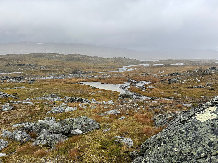 Klicke auf die Grafik für eine vergrößerte Ansicht

Name: IMG_5526.jpg
Ansichten: 0
Größe: 1,04 MB
ID: 3351001