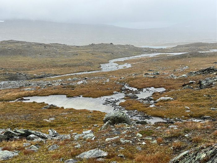 Klicke auf die Grafik für eine vergrößerte Ansicht

Name: IMG_5528.jpg
Ansichten: 0
Größe: 1,04 MB
ID: 3351002