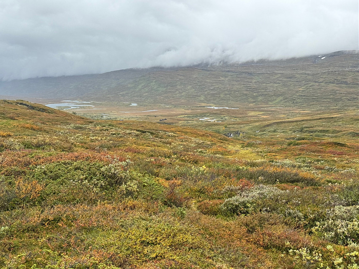 Klicke auf die Grafik für eine vergrößerte Ansicht

Name: IMG_5530.jpg
Ansichten: 0
Größe: 1,07 MB
ID: 3351003