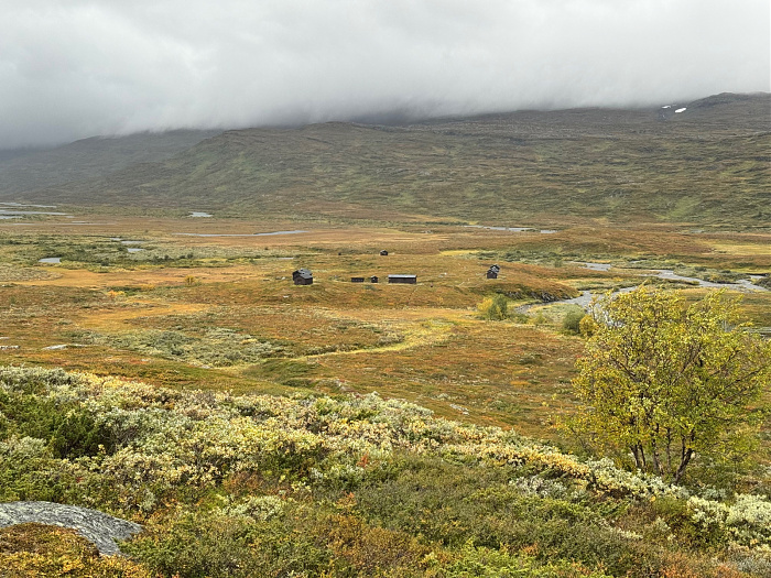 Klicke auf die Grafik für eine vergrößerte Ansicht

Name: IMG_5531.jpg
Ansichten: 0
Größe: 1,10 MB
ID: 3351004