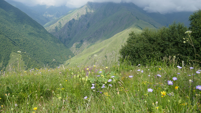 Klicke auf die Grafik für eine vergrößerte Ansicht

Name: Kaukasus0565.jpg
Ansichten: 0
Größe: 870,7 KB
ID: 3351023