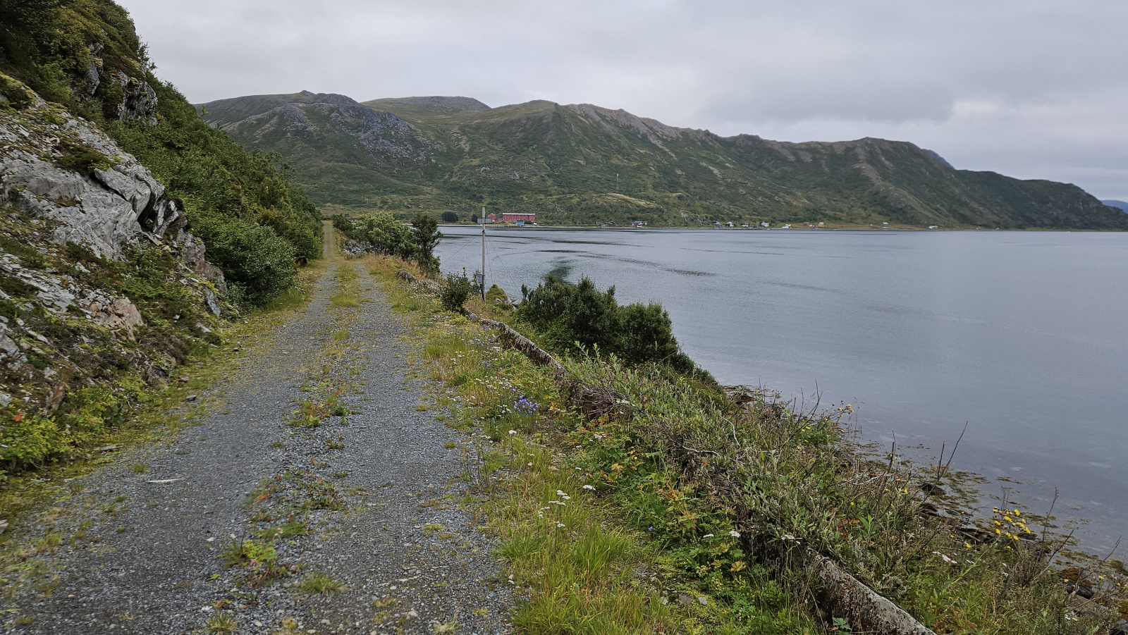 Klicke auf die Grafik für eine vergrößerte Ansicht

Name: 20250901_081517 zugewachsene Straße.jpg
Ansichten: 189
Größe: 872,3 KB
ID: 3351099