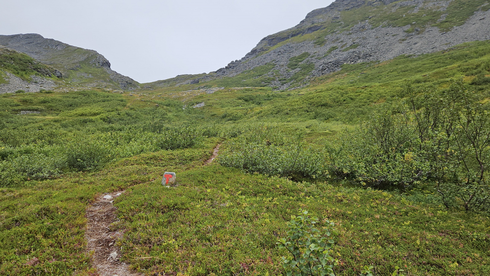 Klicke auf die Grafik für eine vergrößerte Ansicht

Name: 20250901_090913 Weg unterhalb Büschen.jpg
Ansichten: 195
Größe: 1,11 MB
ID: 3351103