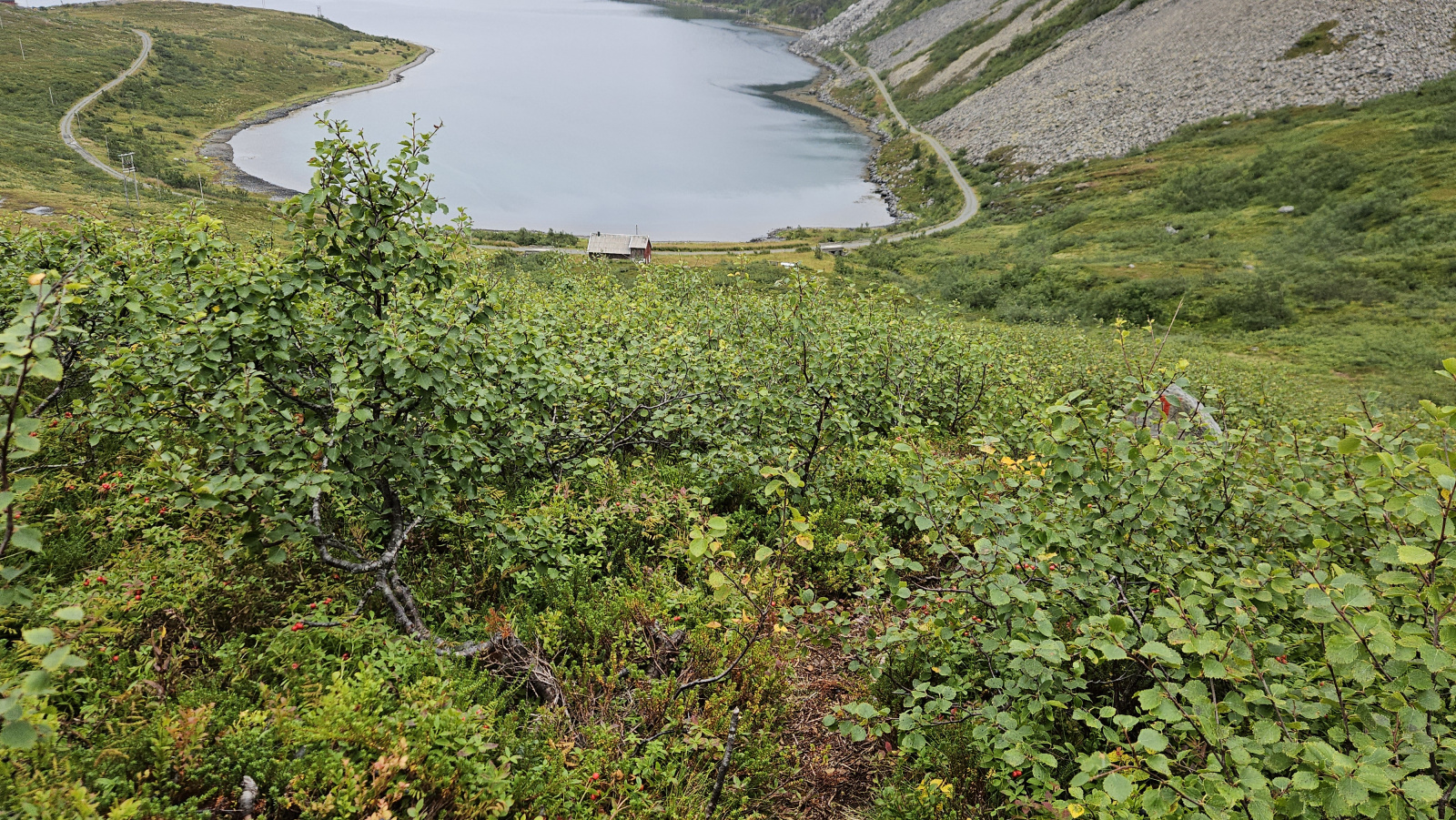 Klicke auf die Grafik für eine vergrößerte Ansicht

Name: 20250901_091822 in den Büschen Blick zurück.jpg
Ansichten: 199
Größe: 1,24 MB
ID: 3351105