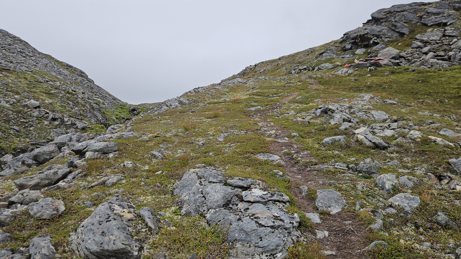 Klicke auf die Grafik für eine vergrößerte Ansicht

Name: 20250901_100811 steiniger Weg aufwärts.jpg
Ansichten: 194
Größe: 1.011,8 KB
ID: 3351107