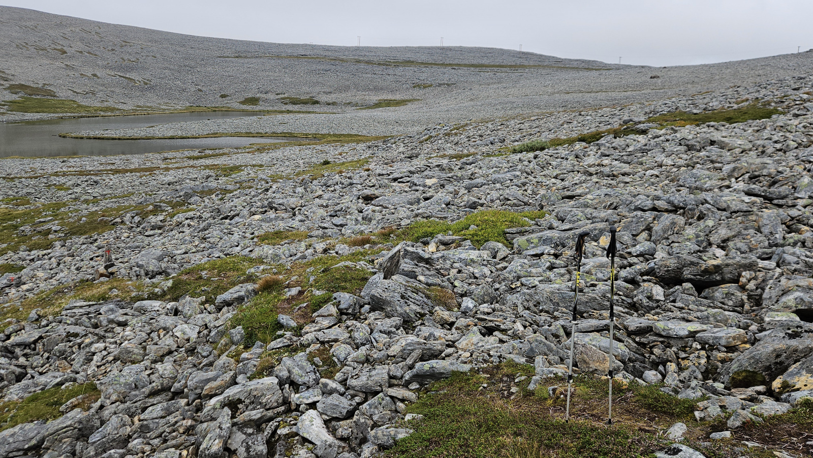 Klicke auf die Grafik für eine vergrößerte Ansicht

Name: 20250901_103828 Steinwüste.jpg
Ansichten: 198
Größe: 1,11 MB
ID: 3351108