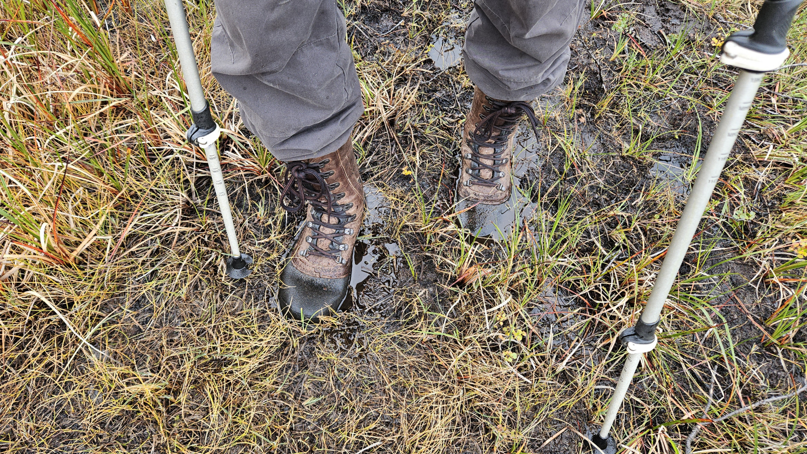 Klicke auf die Grafik für eine vergrößerte Ansicht

Name: 20250901_110754 Füße im Matsch.jpg
Ansichten: 197
Größe: 1,54 MB
ID: 3351110