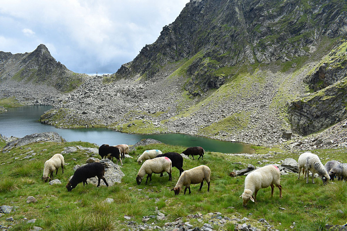 Klicke auf die Grafik für eine vergrößerte Ansicht

Name: DSC_0485.jpg
Ansichten: 94
Größe: 1,15 MB
ID: 3351306