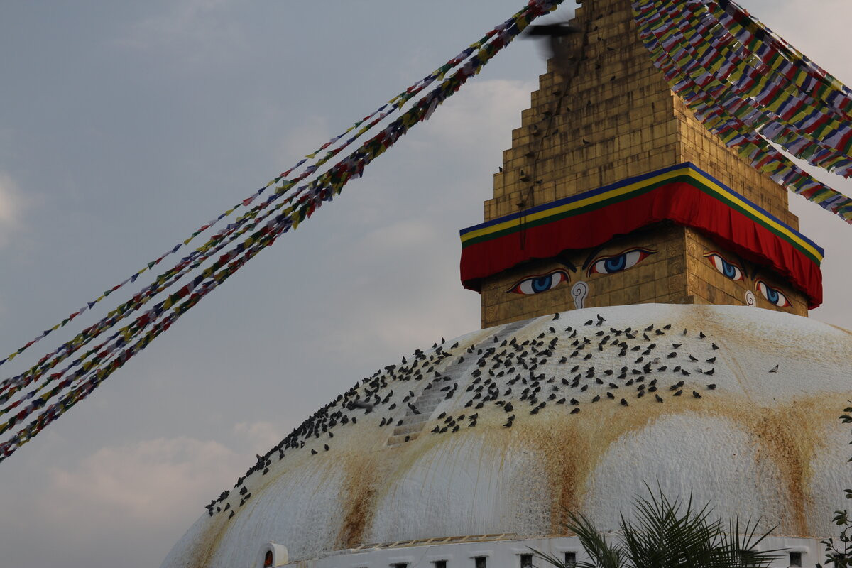 Klicke auf die Grafik für eine vergrößerte Ansicht

Name: IMG_9901.jpg
Ansichten: 60
Größe: 233,4 KB
ID: 3351279