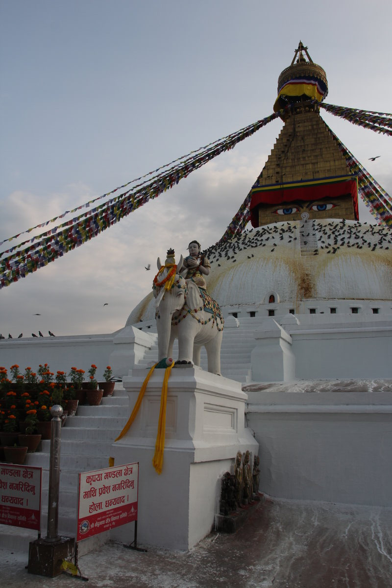 Klicke auf die Grafik für eine vergrößerte Ansicht

Name: IMG_9904.jpg
Ansichten: 61
Größe: 187,9 KB
ID: 3351281