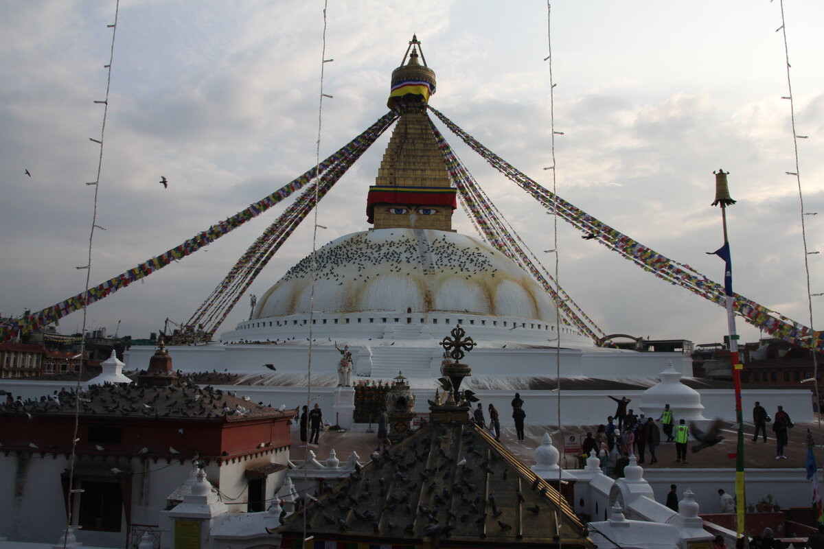 Klicke auf die Grafik für eine vergrößerte Ansicht

Name: IMG_9919.jpg
Ansichten: 61
Größe: 204,5 KB
ID: 3351283