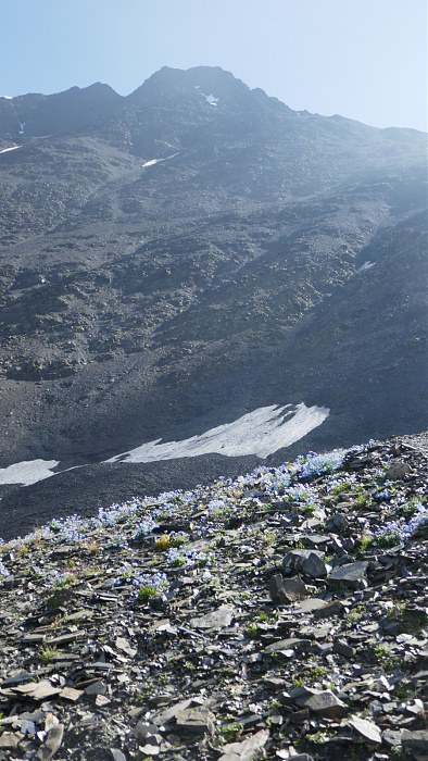 Klicke auf die Grafik für eine vergrößerte Ansicht  Name: Kaukasus0631.jpg Ansichten: 0 Größe: 772,7 KB ID: 3351351