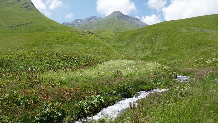 Klicke auf die Grafik für eine vergrößerte Ansicht  Name: Kaukasus0718.jpg Ansichten: 0 Größe: 941,6 KB ID: 3351370