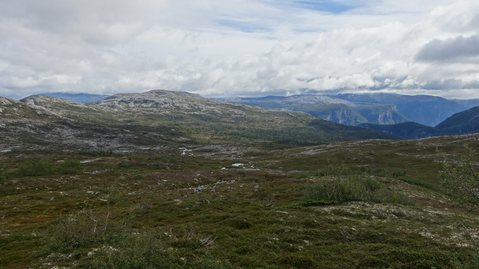 Klicke auf die Grafik für eine vergrößerte Ansicht

Name: 2025 Norge 0501.jpg
Ansichten: 365
Größe: 586,6 KB
ID: 3351461