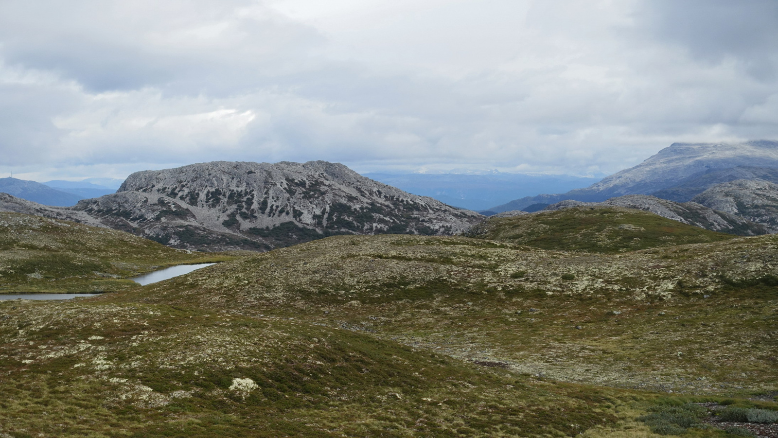 Klicke auf die Grafik für eine vergrößerte Ansicht

Name: 2025 Norge 0503.jpg
Ansichten: 351
Größe: 635,3 KB
ID: 3351464