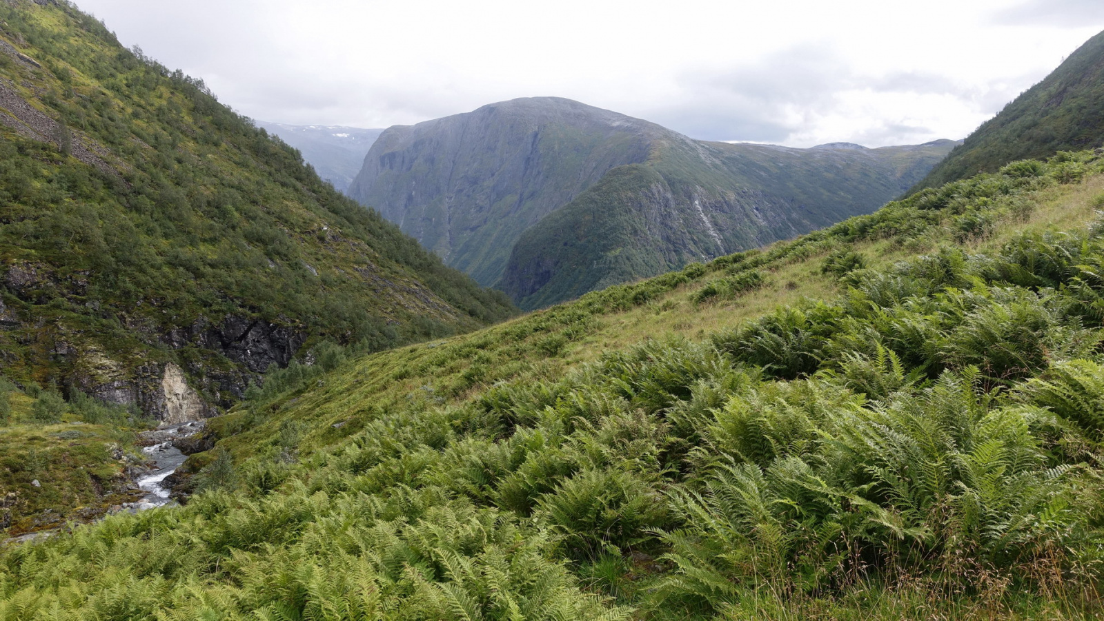 Klicke auf die Grafik für eine vergrößerte Ansicht

Name: 2025 Norge 0509.jpg
Ansichten: 354
Größe: 846,2 KB
ID: 3351472